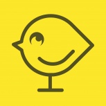 Work Placements at Folded Wing