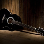 Folded Wing's Acoustic Picks
