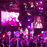 Folded Wing's Wonderful Week of Awards